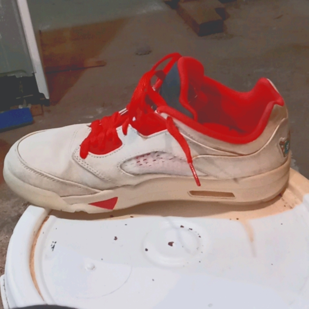 Pair of Jays